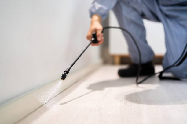 Licensed Mosquito Control service in Saltville, VA - Show Me Pest Control