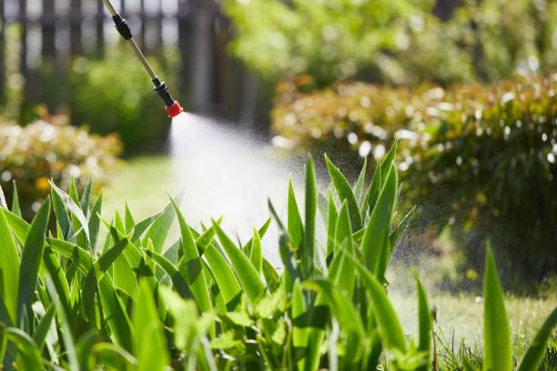 24/7 Emergency Mosquito Control experts in Saltville, VA